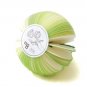 Zakka Green Pear Fruit Fun Scrapbook Paper Memo Note Pad