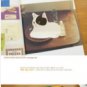 Jetoy Black White Kitten Cat Animal Sticky Scrapbook Paper Note Pad