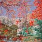 GOBELIN RAMSAU IN HERBST