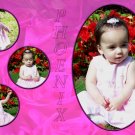 InspiredGFX 4 Picture Pink Rose Collage 4x6 inches