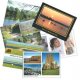 Postcards & Flyers