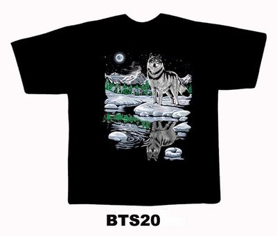 Black colour T-Shirt with Fabric printing lion Design