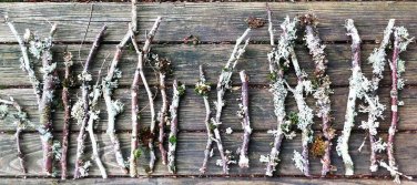 12 Lichen Covered Wood Branches/Twigs for Arts & Crafts, Terrariums etc.