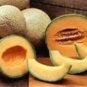 200 ASSORTED ORGANIC PLANT & VEGETABLE SEEDS!!! FREE SHIPPING