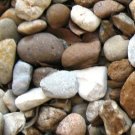 Pebbles for Dish Gardens/Crafts Etc. - 1 lb FREE SHIPPING.