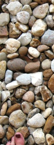 Pebbles for Dish Gardens/Crafts Etc. - 1 lb FREE SHIPPING.