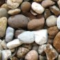 Pebbles for Dish Gardens/Crafts Etc. - 1 lb FREE SHIPPING.