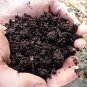 All Purpose ORGANIC Potting/Gardening Soil 2.5 Gallon Bag with FREE Shipping!!!