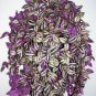 12 WANDERING JEW Cuttings and FREE SHIPPING!!!