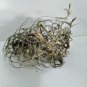 Ball Moss   Tillandsia Recurvata 3 Cluster for Air Plant Terrariums