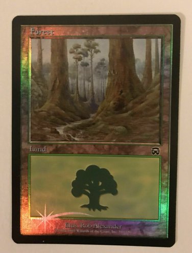 Forest #349, Mercadian Masques, NEW Magic the Gathering MTG