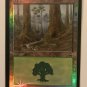 Forest #349, Mercadian Masques, NEW Magic the Gathering MTG