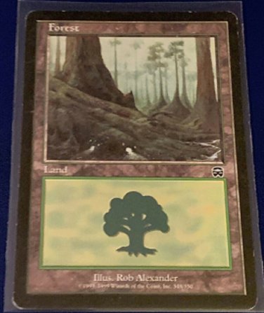 magic the gathering Forest-land  Card 348/350 Mercadian Masques set