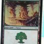 Forest (#304) x1 MTG Mirrodin NEW