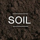 Potting Soil / Custom Blended / 1 lb. Bag / SHIPS FREE!!!