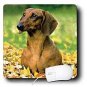 Dogs Dachshund - Smooth Dachshund - Mouse Pads