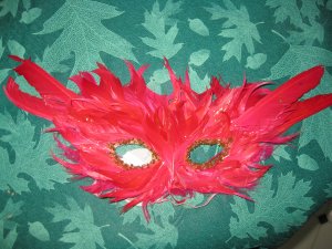 Red feathers mask