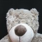 Fluffy the Big Grey Bear