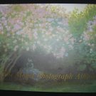 The Monet Photograph Album
