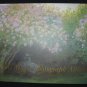 The Monet Photograph Album