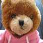 Chucky Cheese Bear Pink Shirt