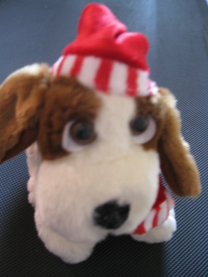 Christmas Puppy: White basset hound
