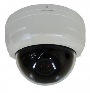 Super High Resolution Indoor Color Dome Camera - Sony 1/3" Super HAD CCD
