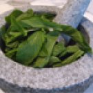 Tisane Herbal Teas Sampler Basket