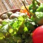 Chipotle Tomatillo Salsa