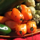 Habanero Chili Salsa Packet