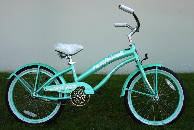 greenline beach cruiser