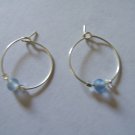 Blue Beaded Earrings
