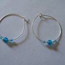 Simple Blue Earrings
