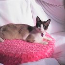 PINK PLUSH ROUND PET BED