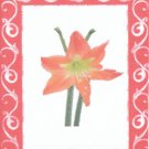CHRISTMAS-FLOWER