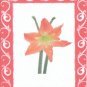 CHRISTMAS-FLOWER