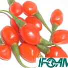 1000+ IFOAM Certified Organic Goji Berry Seeds