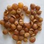 Soapnuts From The Himalayas Of Nepal (250 grams) Natural Soap & Laundry Detergent