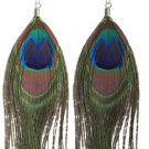 Genuine Peacock Feather Earrings