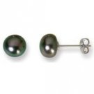Lot of (7) Black Freshwater Pearl Stud Earrings Wholesale