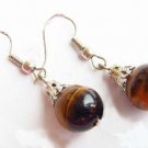 Silver Tiger's Eye Earrings
