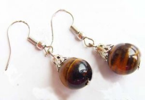 Silver Tiger's Eye Earrings
