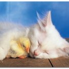 Sweet Dreams - 100 piece Educa puzzle - for Ages 6+