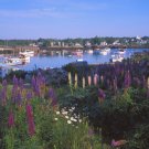 Lobster Cove - 1,000 piece White Mountain puzzle - for Ages 12+