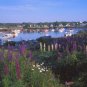 Lobster Cove - 1,000 piece White Mountain puzzle - for Ages 12+