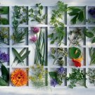 Kitchen Herbs - 1,500 piece Ravensburger puzzle - for Ages 12+