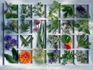 Kitchen Herbs - 1,500 piece Ravensburger puzzle - for Ages 12+