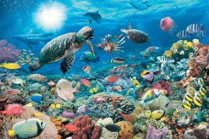 Underwater Tranquility- 5,000 piece Ravensburger puzzle - for Ages 12+