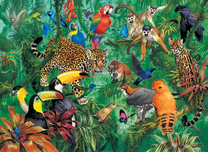 Jungle - 300 piece Ravensburger puzzle - for Ages 9+