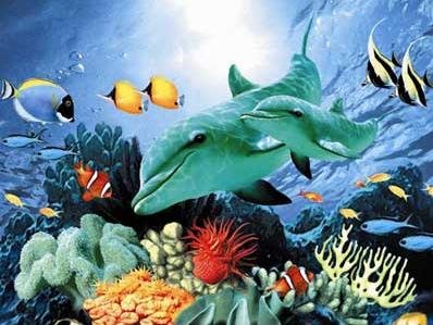 Dolphin Duo - 60 piece Ravensburger puzzle - for Ages 4+